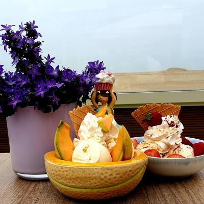 Zoetgenot bistro ijs en koffiesalon Oost Duinkerke